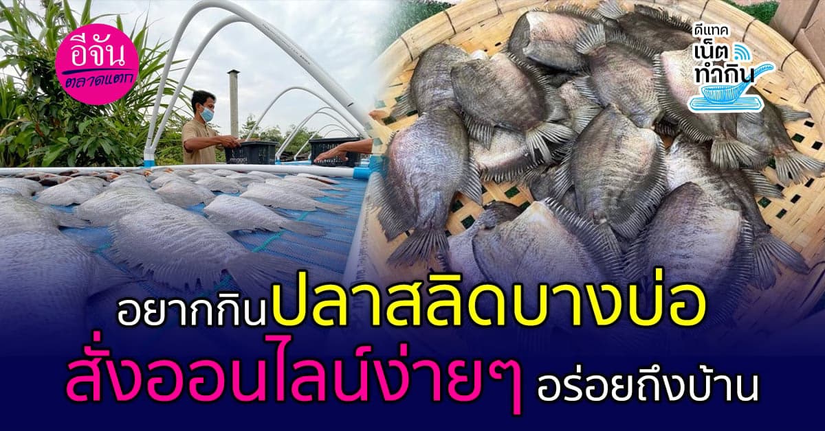 ปลาสลิดบางบ่อ! ยอดขายปังๆ รัวๆ เพราะออนไลน์