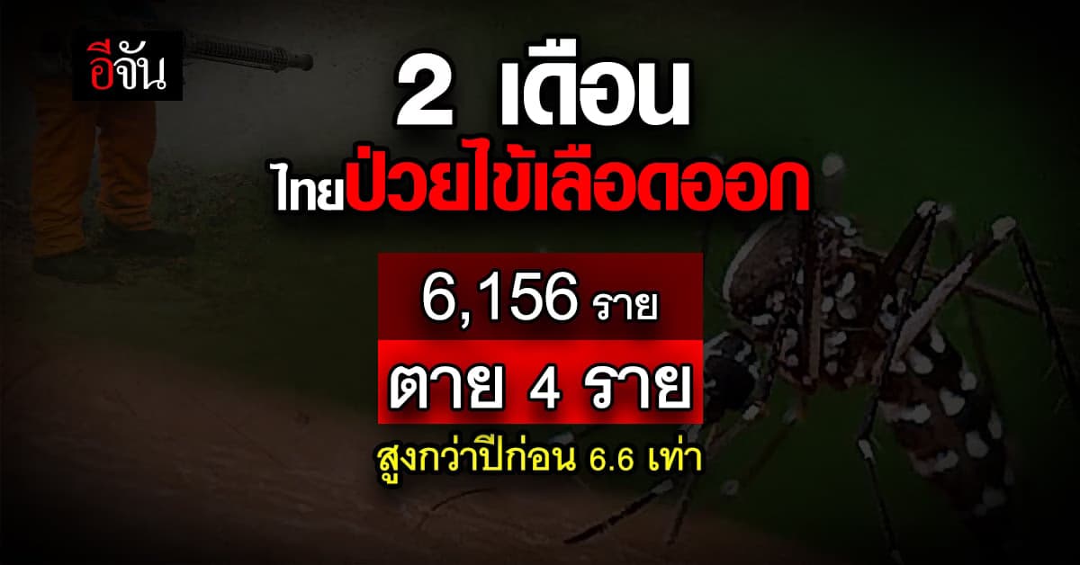ไทยป่วยไข้เลือดออก พุ่ง 6,156 ราย ตาย 4 ราย สูงกว่าปีก่อน 6.6 เท่า