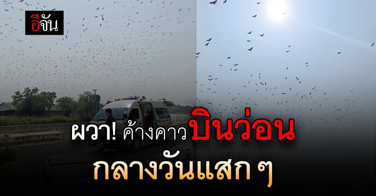 กู้ภัยผวา! รับผู้ป่วยส่งรพ. เจอฝูงค้างคาวบินว่อนกลางวันแสกๆ