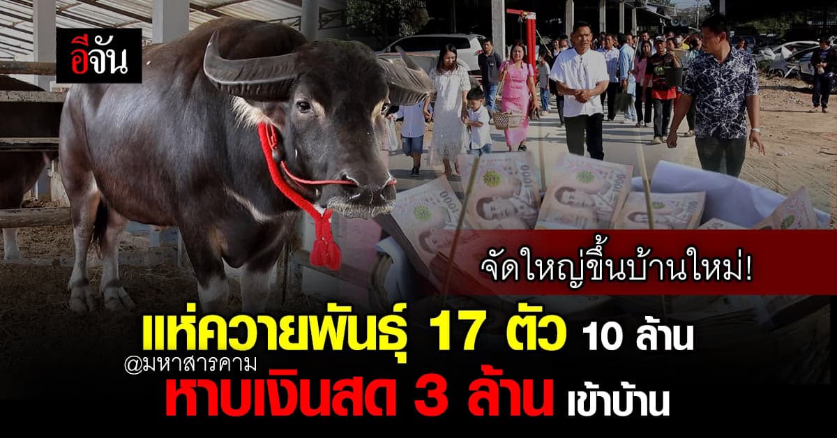 ฮือฮา! เจ้าของอู่ขึ้นบ้านใหม่ จัดขบวนแห่ควายสวยงาม มูลค่า 10 ล้าน