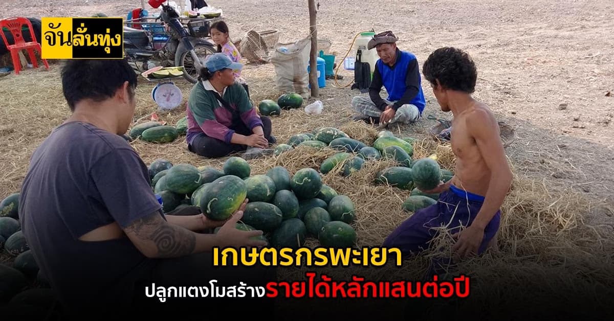 พะเยา ปลูกแตงโม สร้างรายได้ หลักแสนต่อปี!