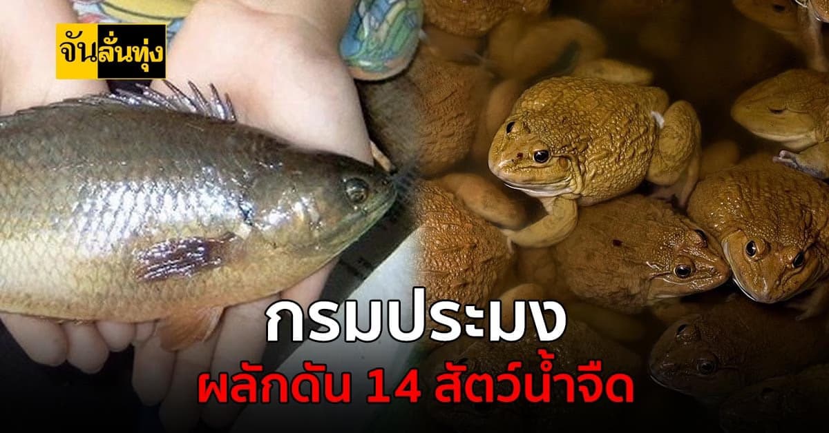 กรมประมง ผลักดัน 14 สัตว์น้ำจืด