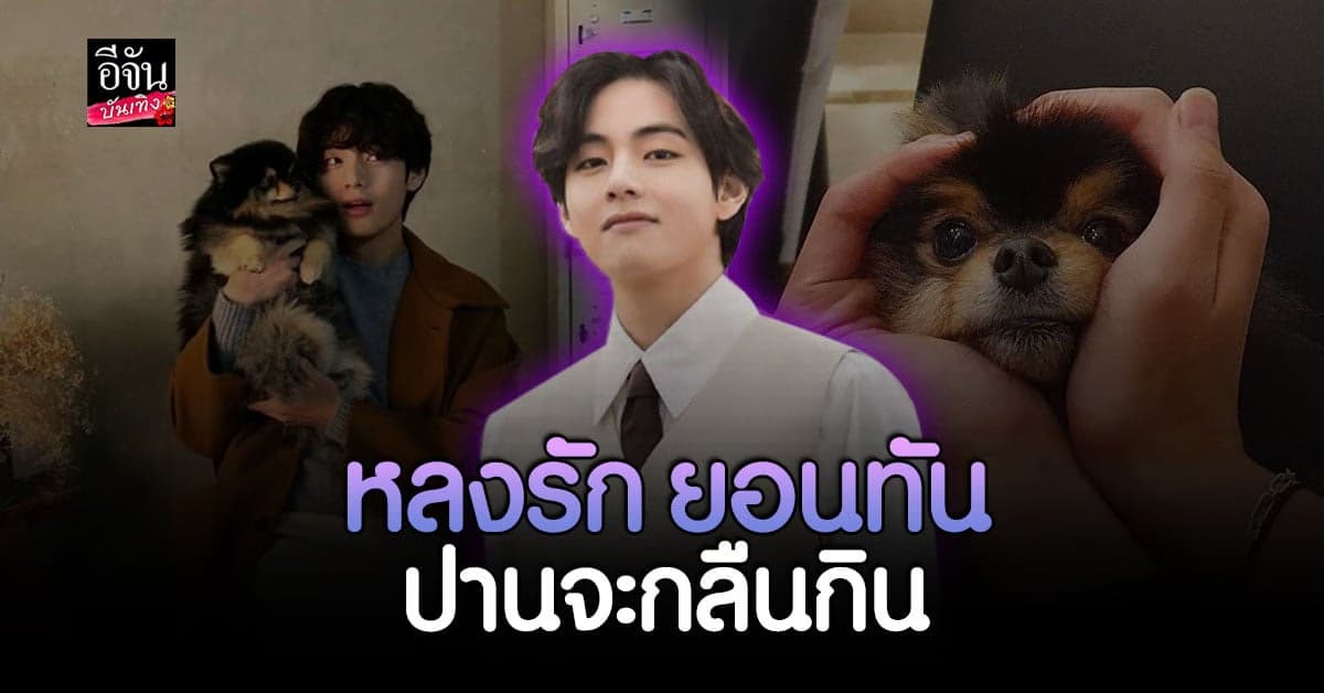 ยอนทัน น้องหมาสุดคิวท์ของ แทฮยอง BTS