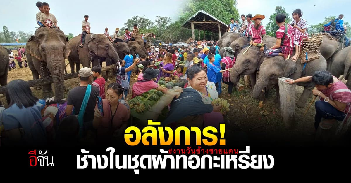 นทท. ร่วมนั่งหลังช้าง เดิน รอบชายแดน รับ งานวันช้างไทยชายแดนไทย ปี 66