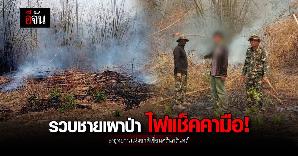 จนท. อุทยานแห่งชาติเขื่อนศรีนครินทร์ รวบชายเผาป่า
