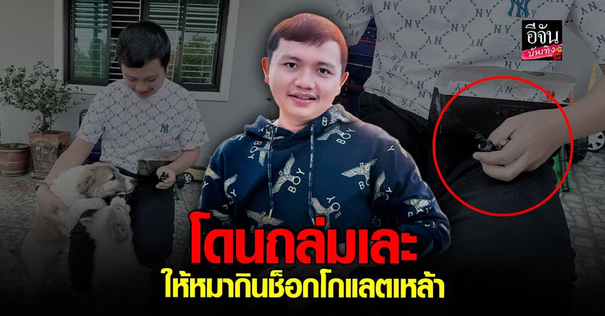 ดราม่าถล่ม ครูไพบูลย์ โดนอีก หลังมีคลิป ป้อนช็อกโกแลตให้น้องหมา