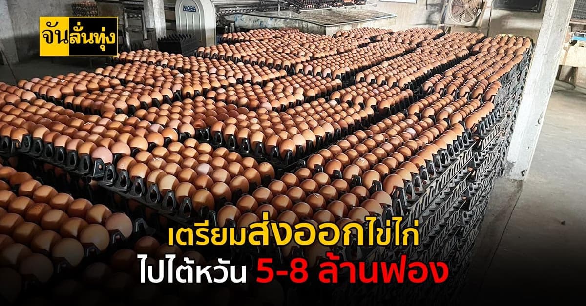 ข่าวดี! เตรียมส่งออกไข่ไก่ไปไต้หวัน คาดมีนาคมนี้ส่งออกถึง 5-8 ล้านฟอง