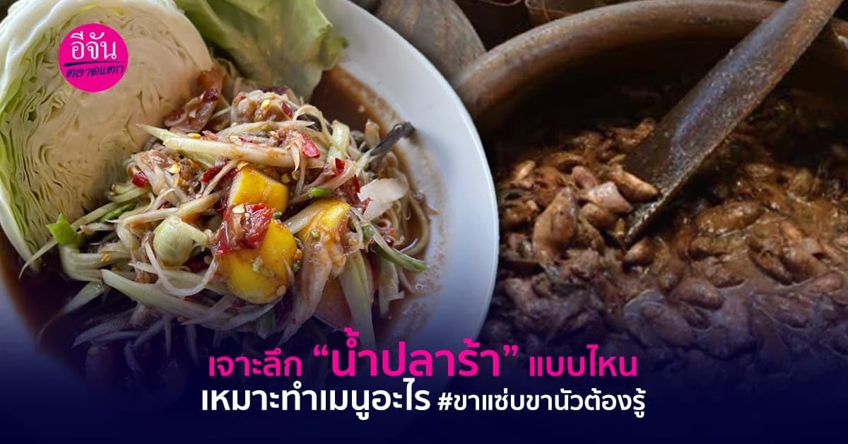 เจาะลึก “น้ำปลาร้า”  แบบไหน เหมาะทำเมนูอะไร  #ขาแซ่บขานัวต้องรู้