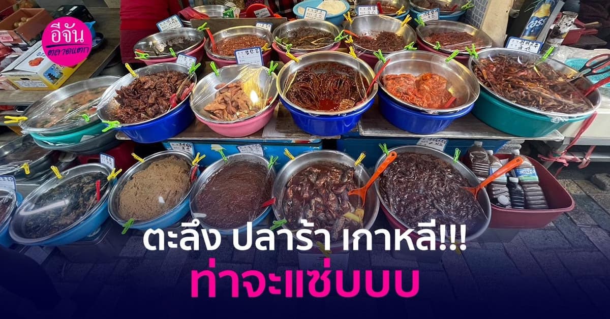 อีจันโกอินเตอร์ เจอปลาร้าเกาหลี!!! มันแซ่บไหมหนอ