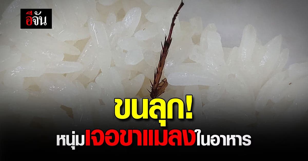 หนุ่ม โพสต์บนกลุ่ม พวกเราคือผู้บริโภค เจอขาแมลงปริศนาอยู่ในอาหาร