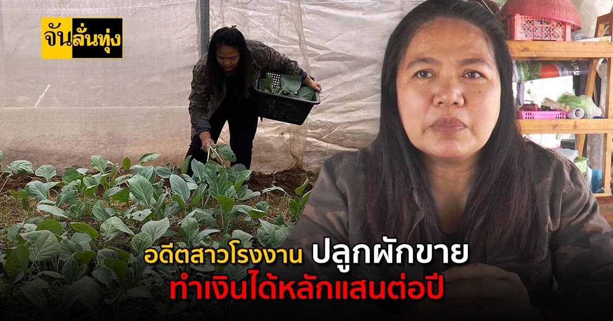 อดีตสาวโรงงาน หันมาปลูกผักขายส่งห้าง สร้างเงินแสนต่อปี!