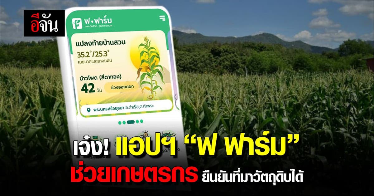 เจ๋ง! แอปฯ ฟ ฟาร์ม ช่วยเกษตรกรยืนยันแหล่งที่มาของวัตถุดิบอาหารสัตว์ได้