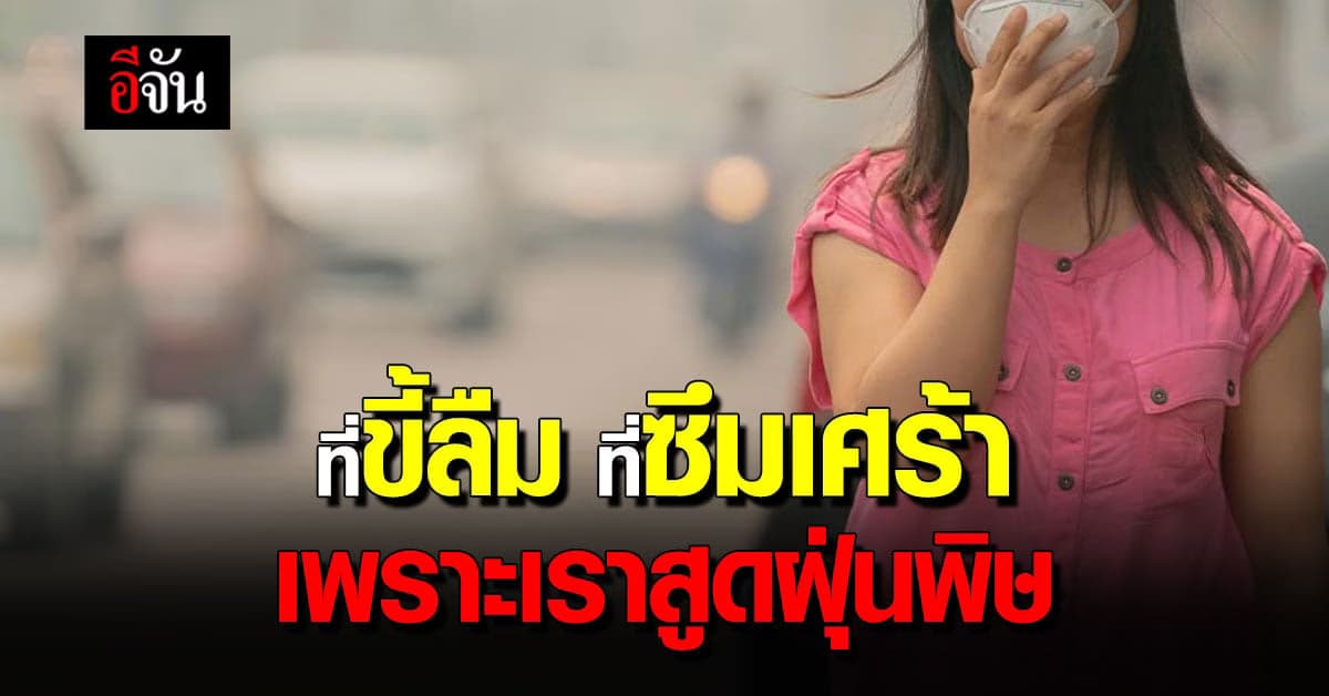 ฝุ่น PM 2.5 แรงไม่เลิก ทะลุเข้าเลือด ยัดเยียดสารพัดโรค