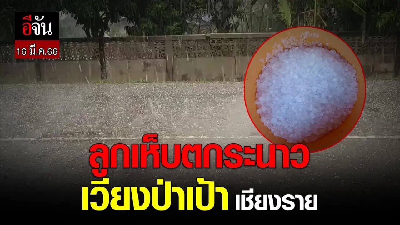 🎬 ลูกเห็บตกระนาว เวียงป่าเป้า เชียงราย 16 มี.ค.66