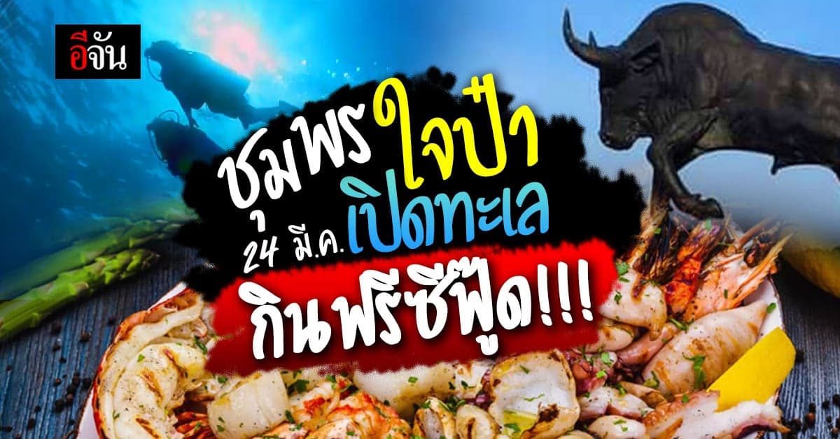 เปิดโลกทะเลชุมพร ปล่อยปูม้า เต่าทะเล กว่าร้อยล้านตัว