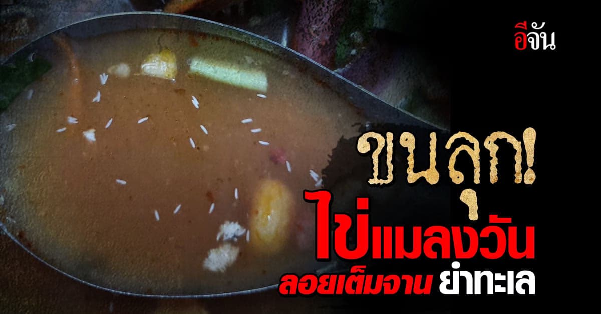 ขนลุก! หนุ่มโพสต์ภาพ ไข่แมลงวัน ลอยเต็มจานยำทะเล