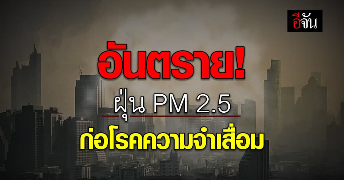 รู้ไหม ? ฝุ่น PM 2.5 ปัจจัยเกิดโรคความจำเสื่อม