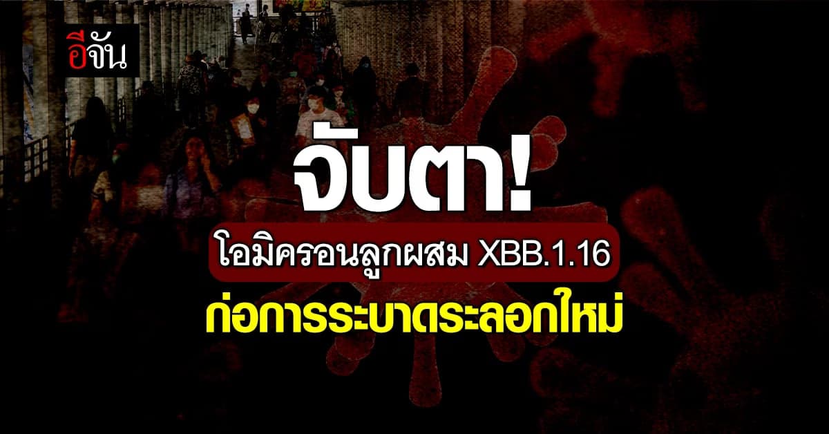 จับตา! โอมิครอนลูกผสม XBB.1.16 ทำให้เกิดการระบาดทั่วโลก