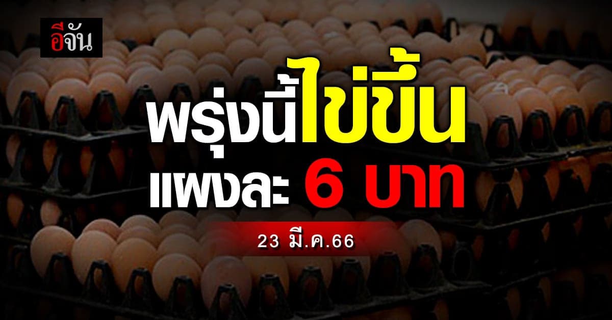 เกียมใจ พรุ่งนี้ (23 มี.ค.66) ไข่ไก่ ขึ้นอีกแผงละ 6 บาท