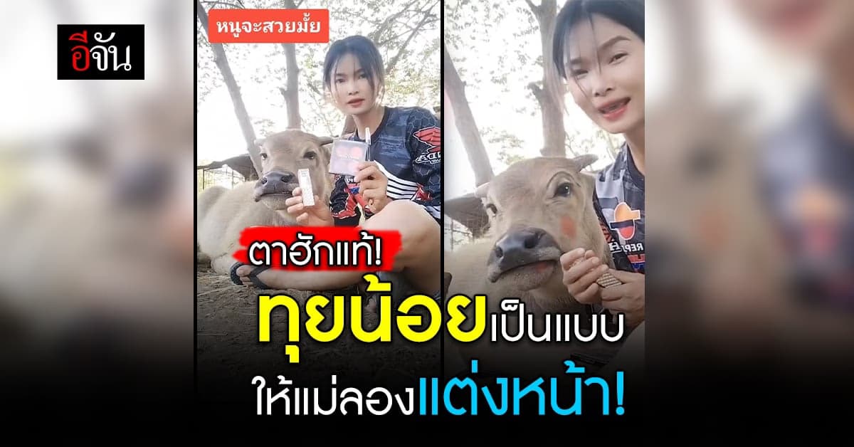 เอ็นดู! แม่จะรีวิวเครื่องสำอาง สะบัดแปรงลงหน้าให้น้องทุยซะเลย