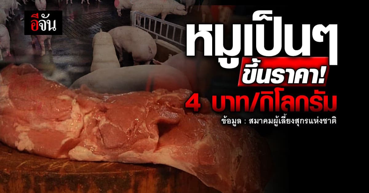 ราคาหมูมีชีวิต ปรับขึ้น 2-4 บาท ต่อ ก.ก. ราคาขายปลีก ปรับด้วย