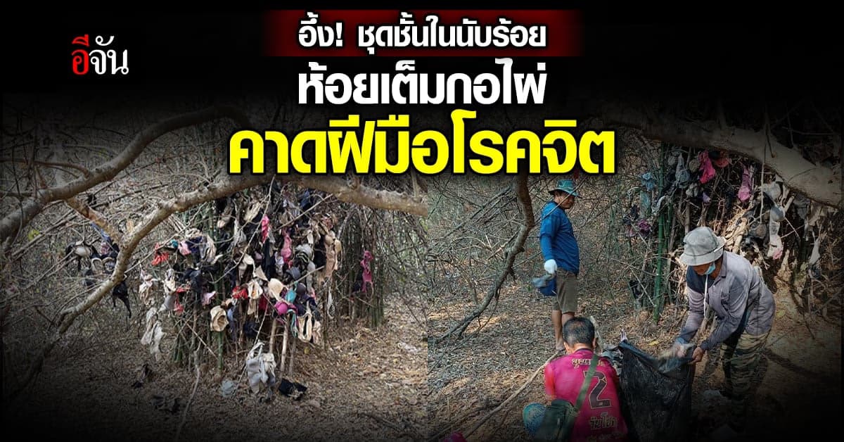 อึ้ง! ชุดชั้นในนับร้อย โผล่ห้อยเต็มกอไผ่ ชาวบ้านคาดเป็นฝีมือโรคจิต