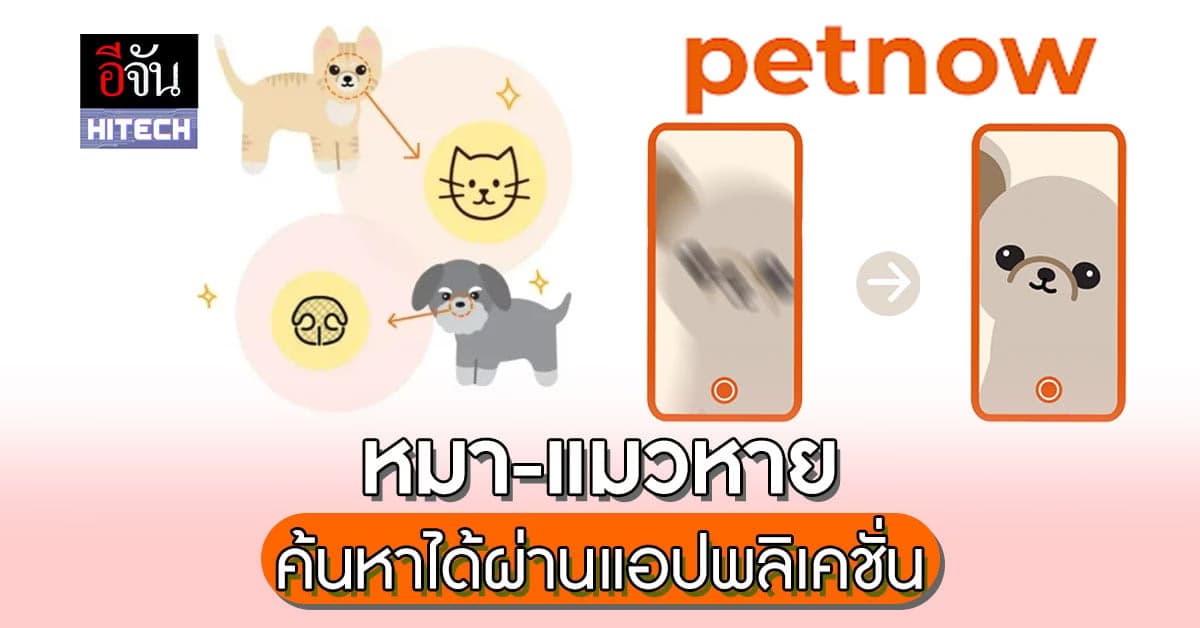 เจ้าของหมา-แมว เลิกเศร้า สัตว์เลี้ยงหาย หาได้ผ่านแอปพลิเคชั่น Petnow