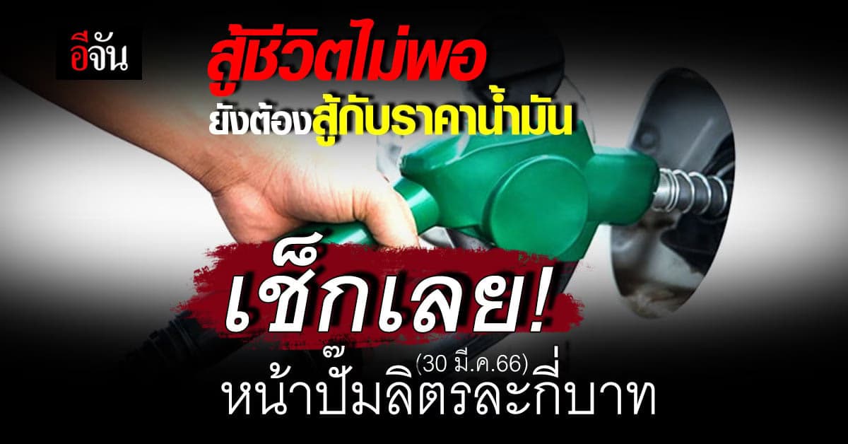 เช็กราคาน้ำมันหน้าปั๊ม เช้านี้ (30 มี.ค.66) ดีเซล เบนซิน กี่บาทแล้ว