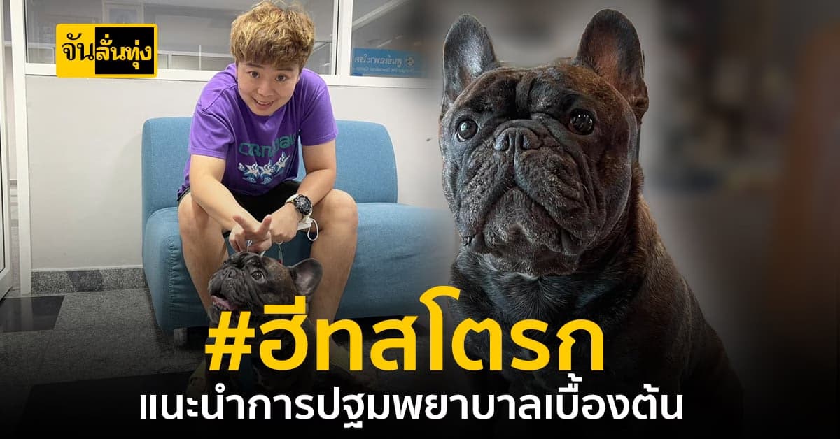 ฮีทสโตรก ภัยร้ายใกล้ตัวสัตว์ ที่ไม่ควรมองข้าม