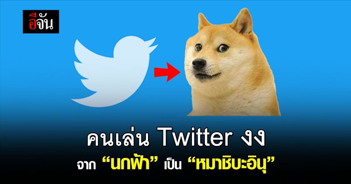 แฮชแท็กโลโก้ทวิตเตอร์มาแรง หลัง 4 เม.ย.66 จากนกฟ้าเป็นหมาชิบะอินุ