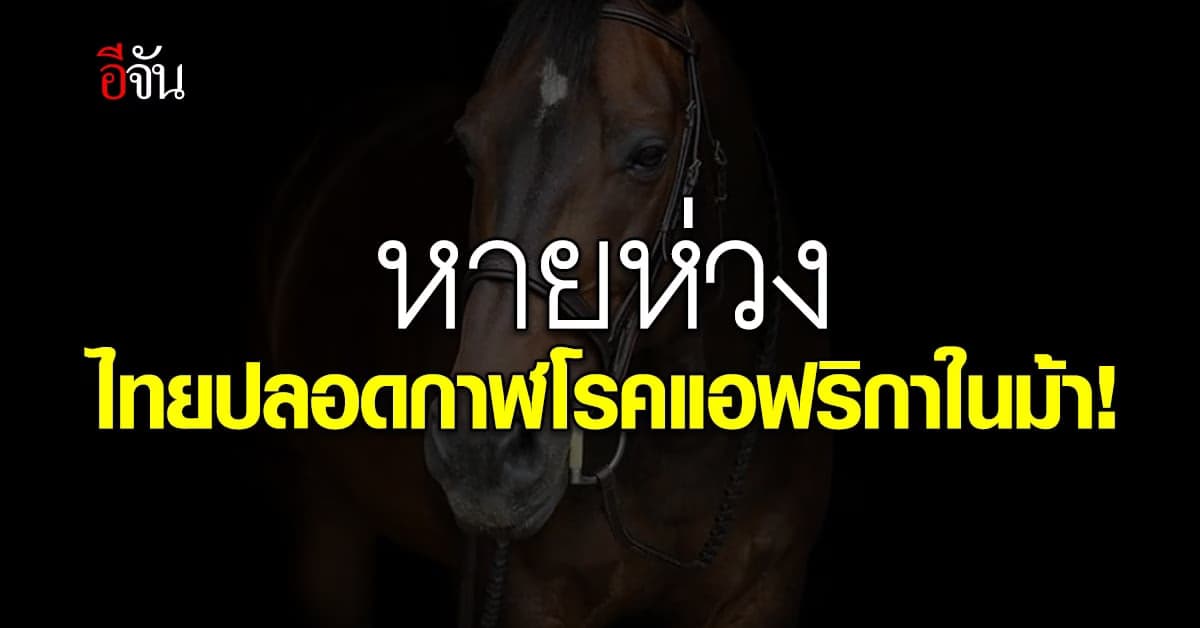 องค์การสุขภาพสัตว์โลก ประกาศ ไทยปลอดกาฬโรคแอฟริกาในม้า