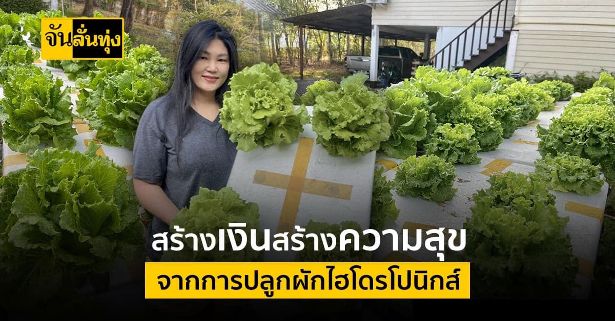 มือใหม่แต่ใจรัก! เปลี่ยนเวลาว่าง ปลูกผักไฮโดรโปนิกส์ สร้างรายได้