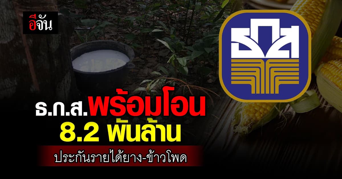ธ.ก.ส.เคาะงบ 8.2 พันล้าน ประกันรายได้ยาง-ข้าวโพด