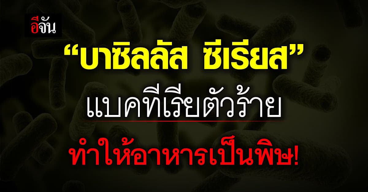 ทำความรู้จัก บาซิลลัส ซีเรียส แบคทีเรียตัวร้าย ที่ทำให้อาหารเป็นพิษ