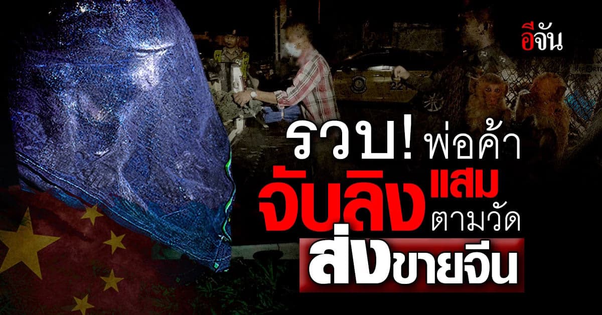 ตร.สอบสวนกลาง รวบพ่อค้า ดัดแปลงรถกระบะ จับลิงแสม ตามวัด ส่งขายจีน