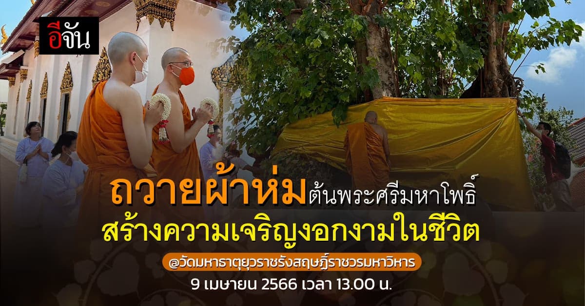 ชวนถวายผ้าห่มต้นพระศรีมหาโพธิ์ สร้างความเจริญงอกงามในชีวิต