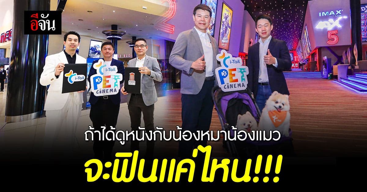 เอาใจคนรักหมาแมว เมเจอร์จับมือITC เตรียมเปิดโปรเจกต์ i-Tail PET CINEMA