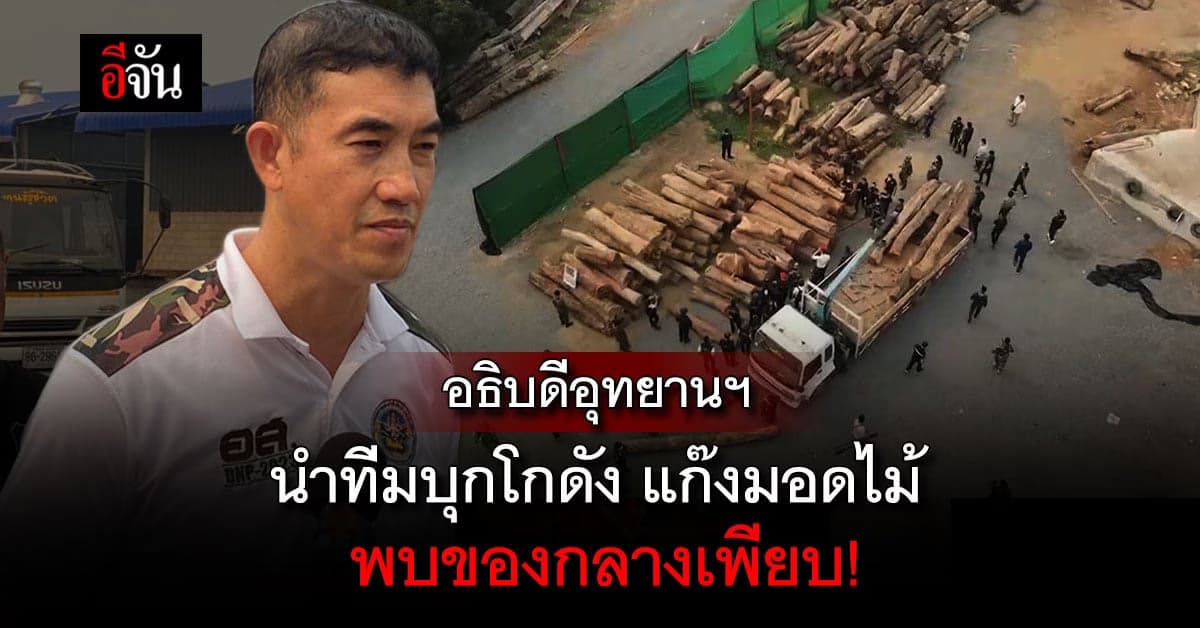 อธิบดี อส. นำทีมบุกโกดัง แก๊งมอดไม้ ในภาคเหนือ พบของกลางเพียบ!