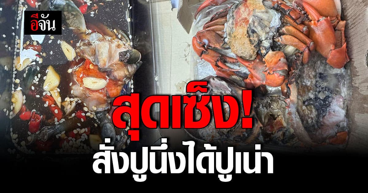 สุดเซ็ง สาวสั่งปูไข่นึ่ง จากแอปเดลิเวอรี่มากิน แต่กลับได้ปูเน่า