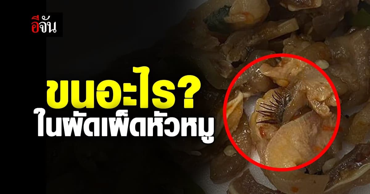 มันคืออะไร! สาวโพสต์เจอขนคล้ายขนตา ในอาหาร