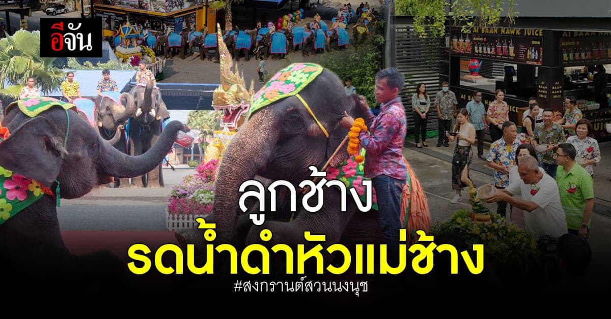 สวนนงนุช เปิดงาน มหาสงกรานต์ – ลูกช้างรดน้ำดำหัวแม่ช้าง