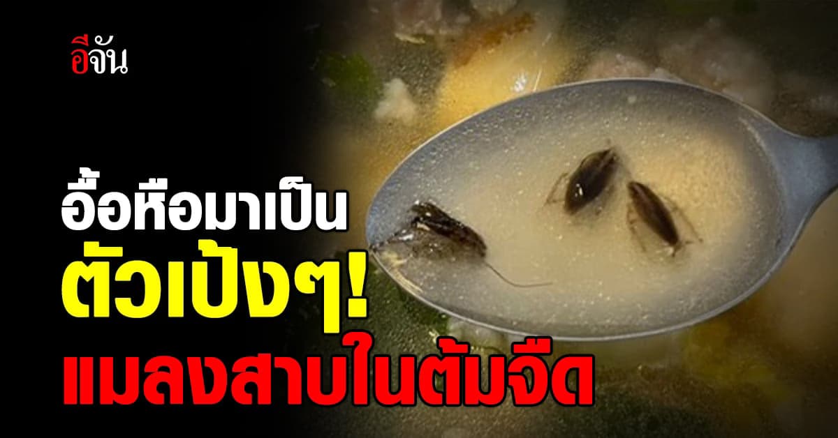 สาวผงะ! แชร์ประสบการณ์ เจอแมลงสาบ ลอยในต้มจืดเพียบ