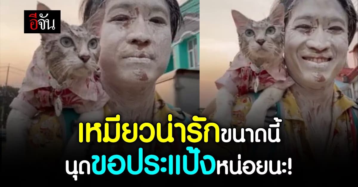 เอ็นดู! น้องแมวกลับจากทำบุญสงกรานต์กับเจ้าของ โดนประแป้งจนขาวโพลน