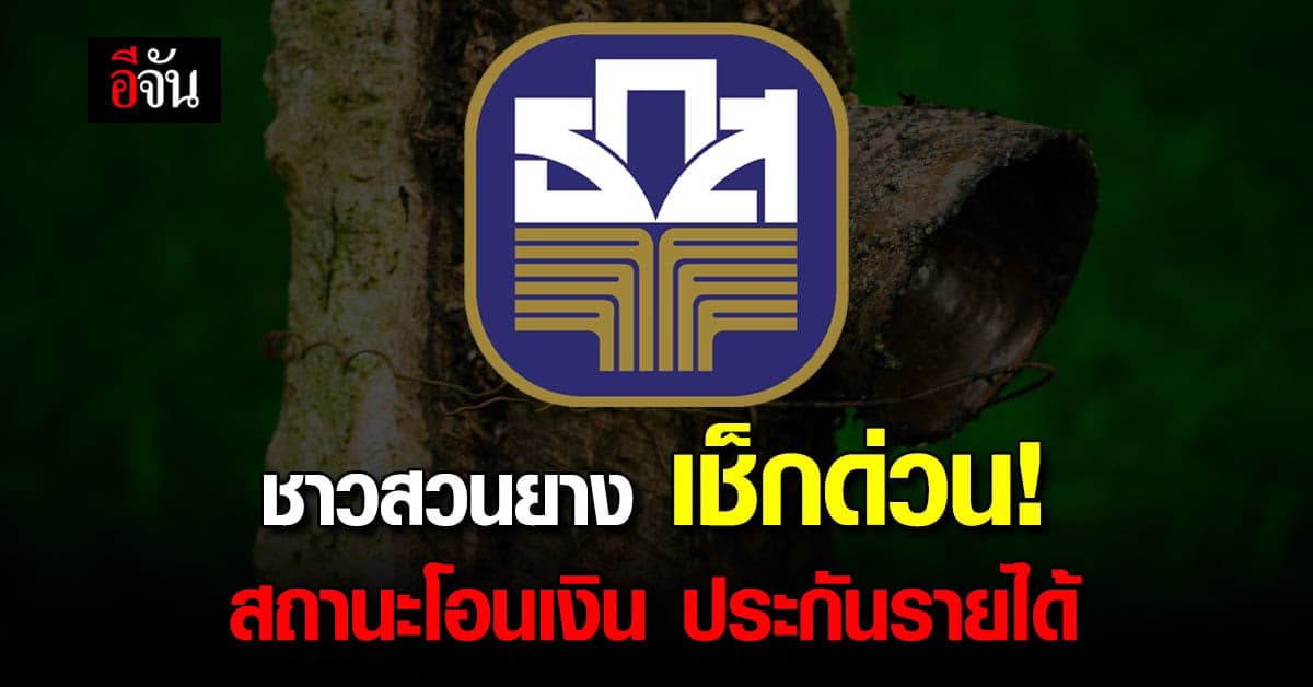 ธ.ก.ส.โอนแล้วประกันรายได้ยางพารา ชาวสวน เช็กสถานะเงินโอน ได้ที่นี่