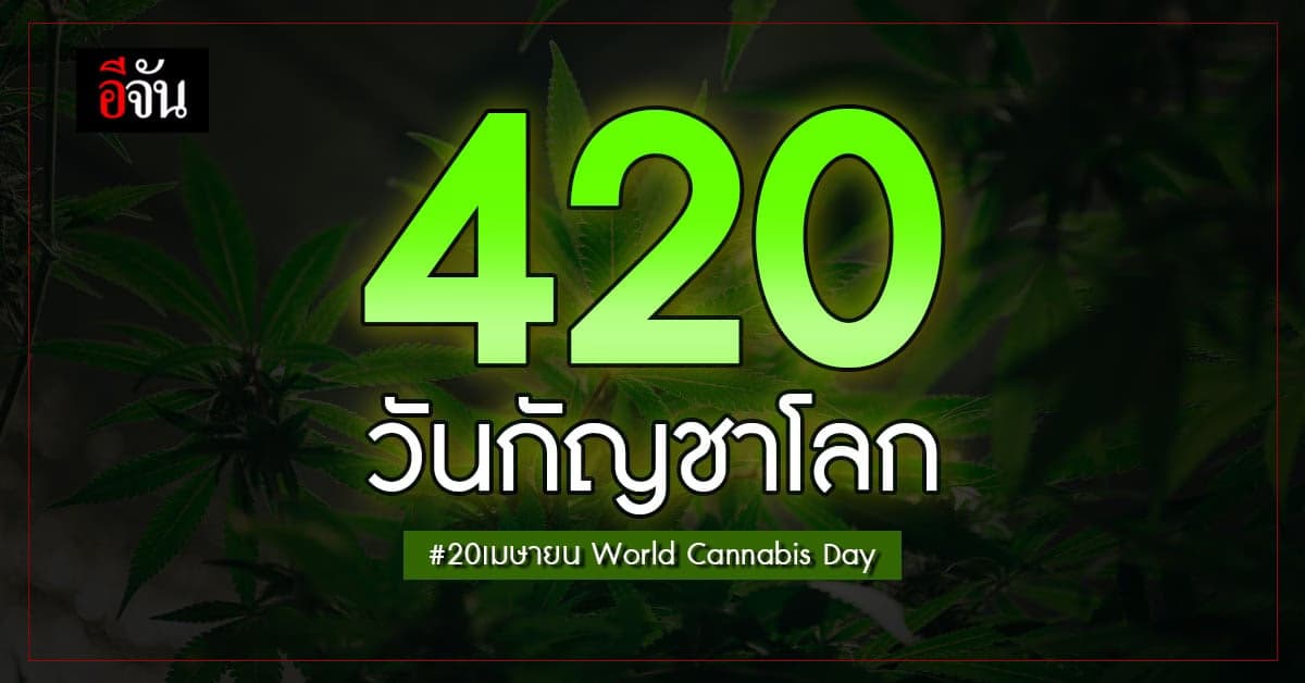420 World Cannabis Day วันของเหล่าสายเขียว