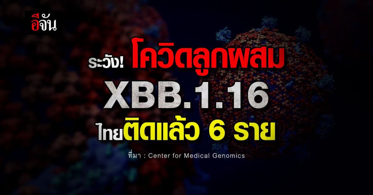 ระวัง! โควิดกลับมา สายพันธุ์ลูกผสม XBB.1.16 ไทยติดแล้ว 6 ราย