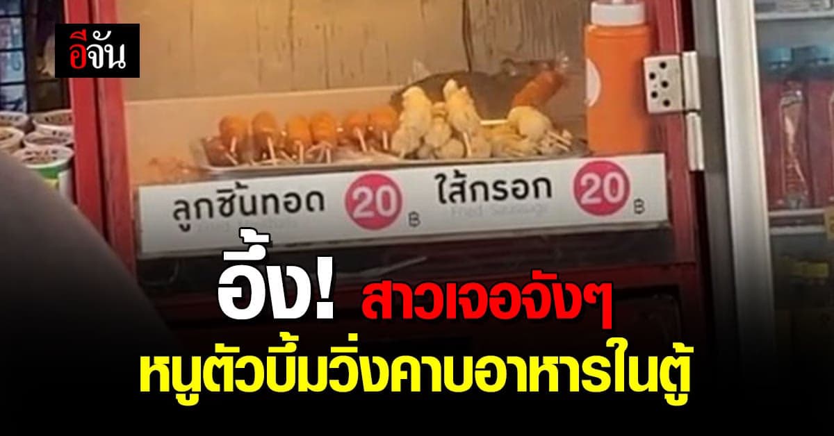 สาวอึ้ง! เจอหนูไซส์ยักษ์คาบลูกชิ้น วิ่งอยู่ในตู้ขายอาหาร