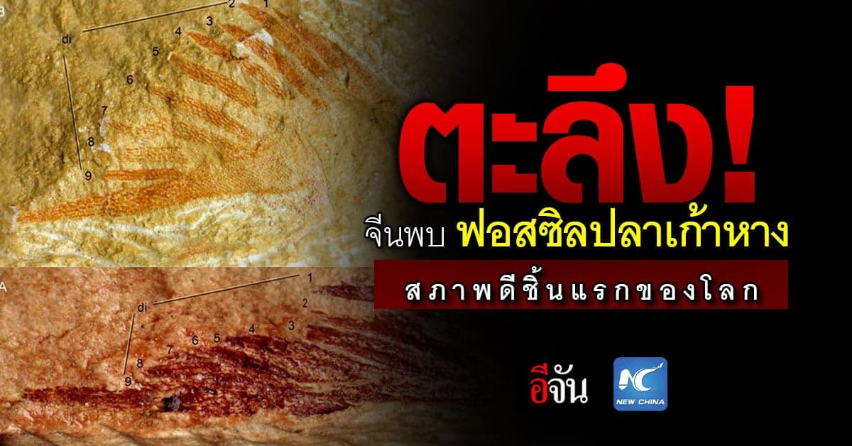 ตะลึง หลังมีข่าวการค้นพบ ฟอสซิลปลาเก้าหาง ในจีน