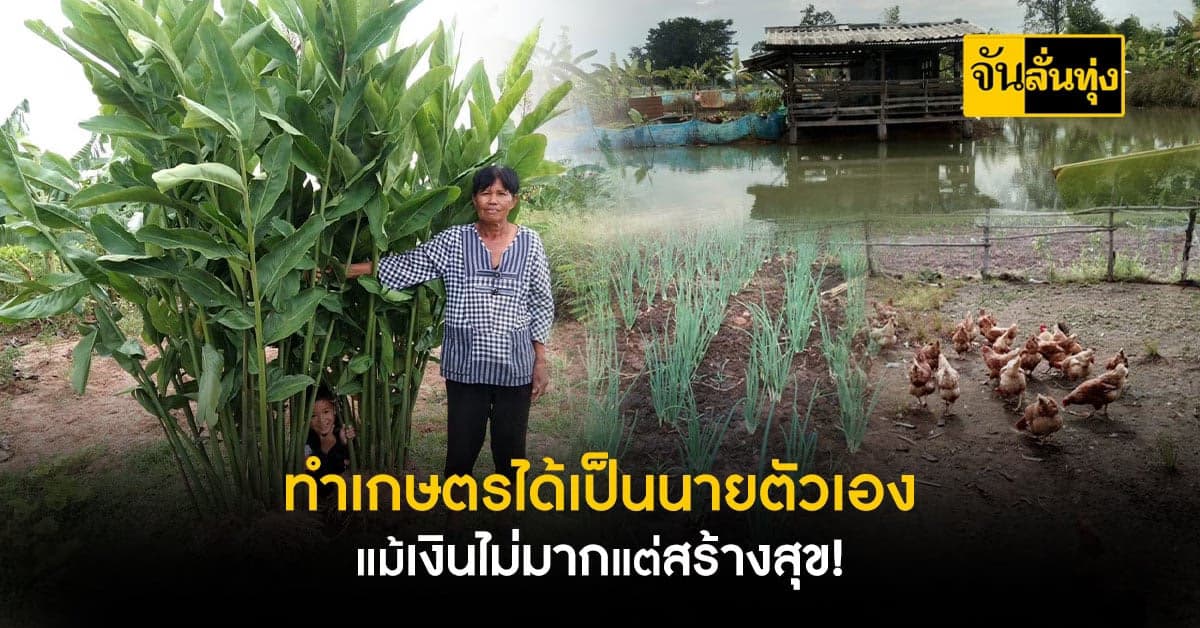 หนุ่มสร้างตัว ปลูกผัก สร้างรายได้ แม้ได้เงินไม่มากแต่มีความสุข