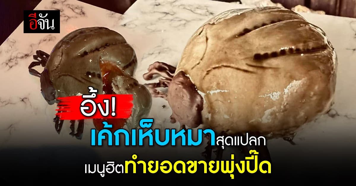 มิติใหม่ ลูกค้าสั่งทำเค้กเห็บหมา ขายดีจนเป็นเมนูสุดฮิตของร้าน